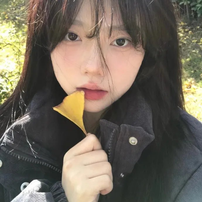 第十三个故事