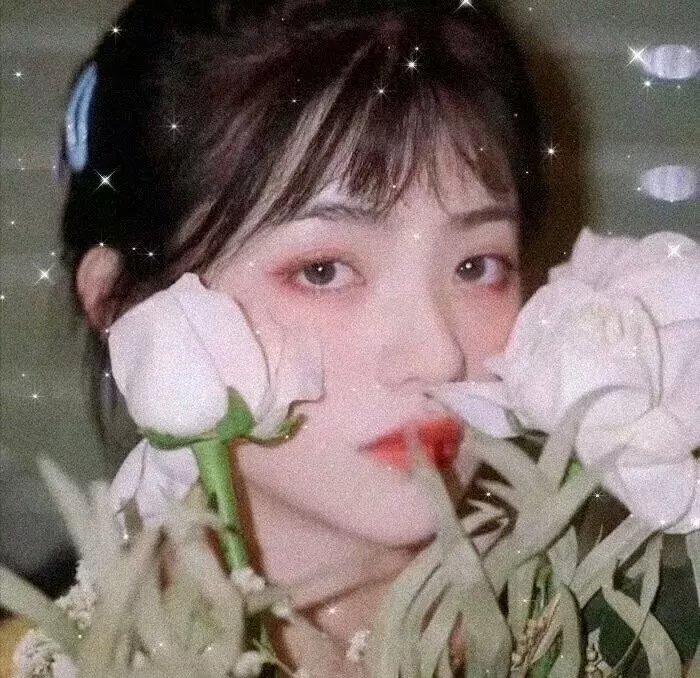 琴谜变奏曲